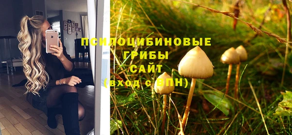 круглые Алексеевка