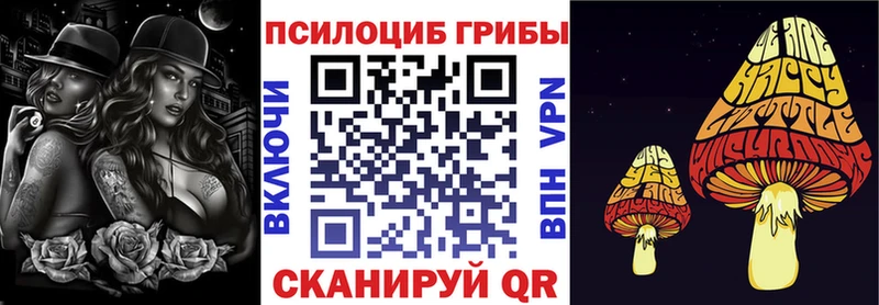 Галлюциногенные грибы Magic Shrooms  купить закладку  Пенза 