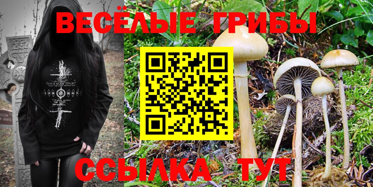 Галлюциногенные грибы MAGIC MUSHROOMS  закладки  Пенза  Вход с VPN 