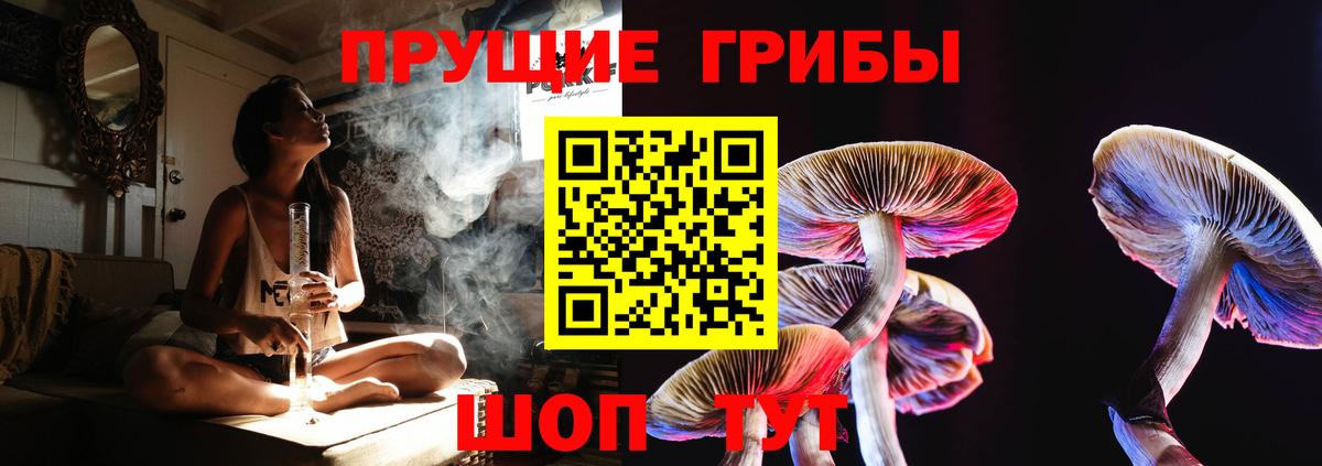 Псилоцибиновые грибы Cubensis Пенза